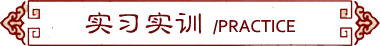 实习实训